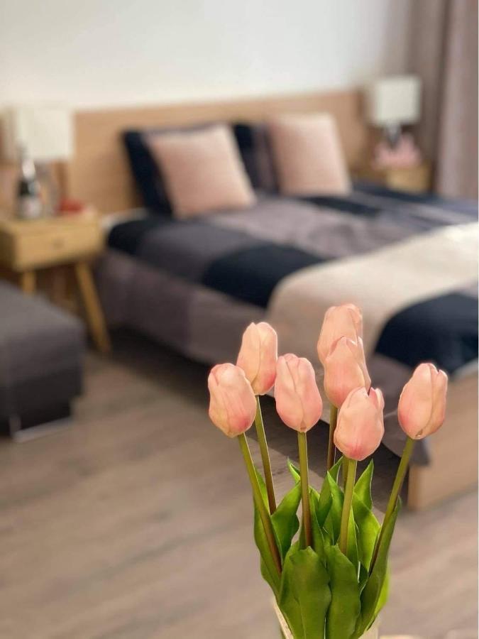 Lake And Spa Apartman فيلينس المظهر الخارجي الصورة