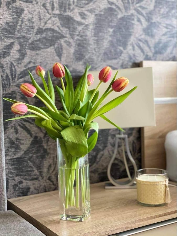 Lake And Spa Apartman فيلينس المظهر الخارجي الصورة